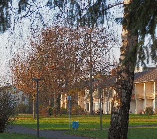Die HICOGSiedlung in Tannenbusch denkmal aktiv
